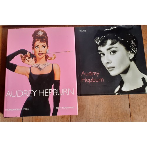 Audrey Hepburn Interest-A large unframed canvas and 2 books