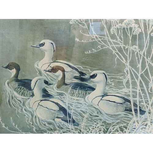 138 - Two prints of waterfowl signed C F Tunnicliffe, one including three ducks sat on the water near the ... 