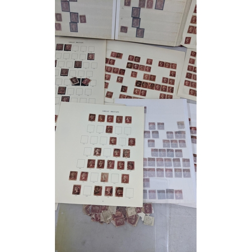 317 - A collection of penny red stamps contained in an album and loose sheets
Location:RWM