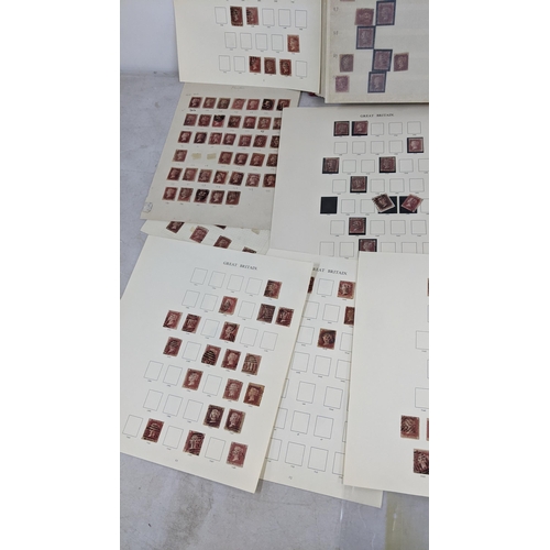 317 - A collection of penny red stamps contained in an album and loose sheets
Location:RWM