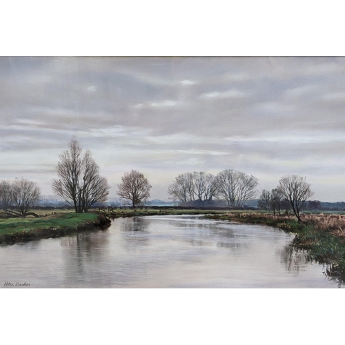 54 - Peter Barker - a pastel depicting a river landscape, signed to the lower left corner
Location:LWM