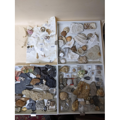 331 - A collection of fossils, sea shells, stones and medieval and later pottery shards, to include trilob... 