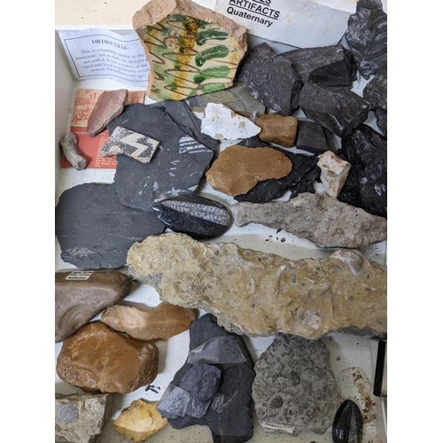 331 - A collection of fossils, sea shells, stones and medieval and later pottery shards, to include trilob... 