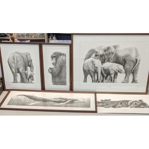 147 - Gary Hodges - five limited edition prints of animals each signed and numbered
Location:A4F