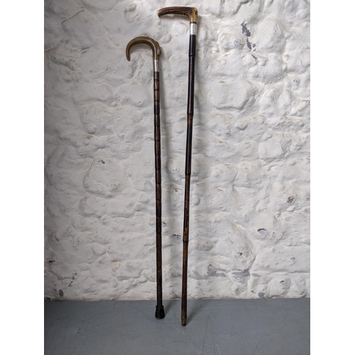 281 - Two horn handled walking sticks each with silver Ferrules 
Location:RWM