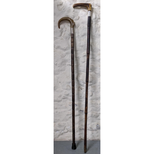 281 - Two horn handled walking sticks each with silver Ferrules 
Location:RWM