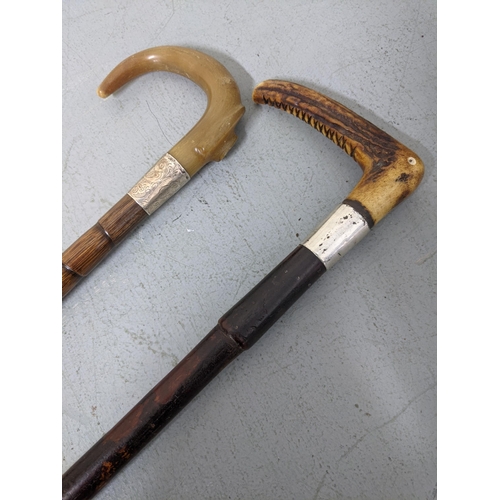 281 - Two horn handled walking sticks each with silver Ferrules 
Location:RWM