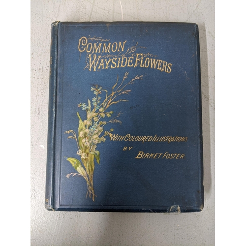 289 - Two books - 'Common Wayside Flowers' with coloured illustrations by Birket Foster and 'Birket Foster... 