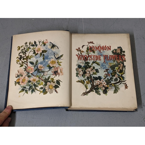 289 - Two books - 'Common Wayside Flowers' with coloured illustrations by Birket Foster and 'Birket Foster... 