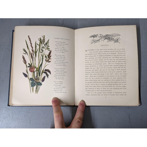 289 - Two books - 'Common Wayside Flowers' with coloured illustrations by Birket Foster and 'Birket Foster... 