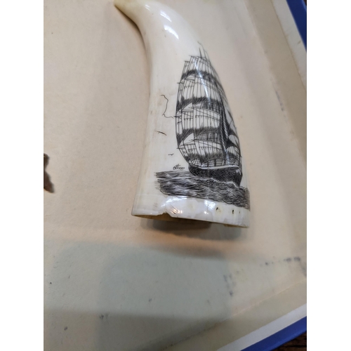 42 - A 20th century scrimshaw whale tooth tooled with image of a ship, together with possible flint and o... 