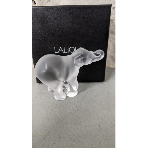 448 - A Lalique glass elephant calf with its box
Location: R2.2