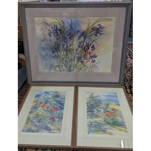 498 - Gillian McDonald - A watercolour entitled 'Iris Cascade 1', 73cm x 55cm, together with two signed li... 