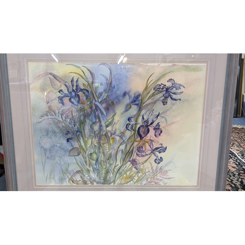 498 - Gillian McDonald - A watercolour entitled 'Iris Cascade 1', 73cm x 55cm, together with two signed li... 