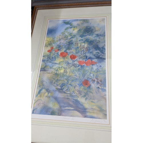 498 - Gillian McDonald - A watercolour entitled 'Iris Cascade 1', 73cm x 55cm, together with two signed li... 