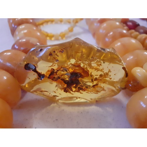 55 - Vintage amber necklaces to include a butterscotch example together with a quantity of amber effect n... 