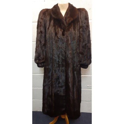 23 - A 1980's dark brown mink coat (almost black to the eye) having a shawl collar, raised and padded sho... 