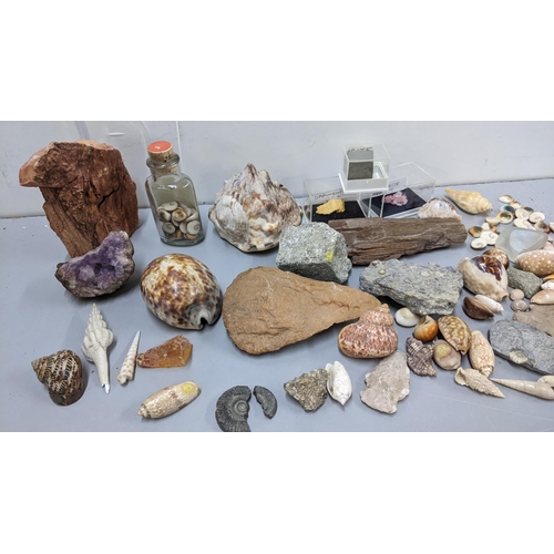 344 - A mixed lot to include an amethyst crystal, ammonite, sea shells and other items
Location:LAB