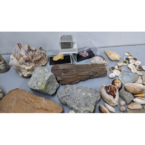 344 - A mixed lot to include an amethyst crystal, ammonite, sea shells and other items
Location:LAB