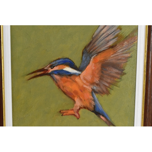 130 - David Gainford (b. 1941) British 
a pair of ornithological paintings depicting a kingfisher and a fi... 