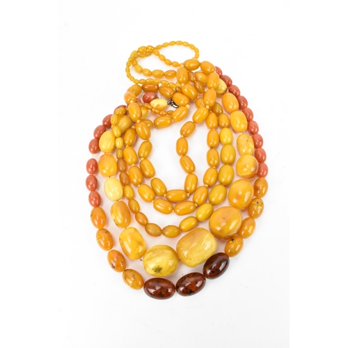 194 - A collection of pressed amber necklaces, with graduated beads, largest bead 4 cm wide