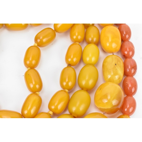 194 - A collection of pressed amber necklaces, with graduated beads, largest bead 4 cm wide