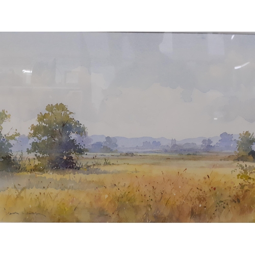 235 - David Howell - Summer on the Levels, a watercolour, 33 x 23cm, mounted in a gold painted frame toget... 