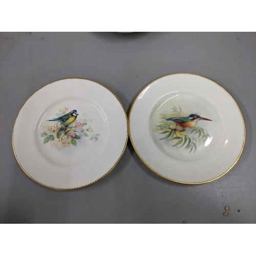 255 - A Royal Worcester cup and saucer and two cabinet plates by H.Powell, painted with birds, and gilt bo... 