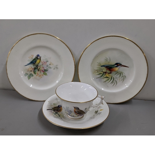 457 - A Royal Worcester cup and saucer and two cabinet plates by H.Powell, painted with birds, and gilt bo... 