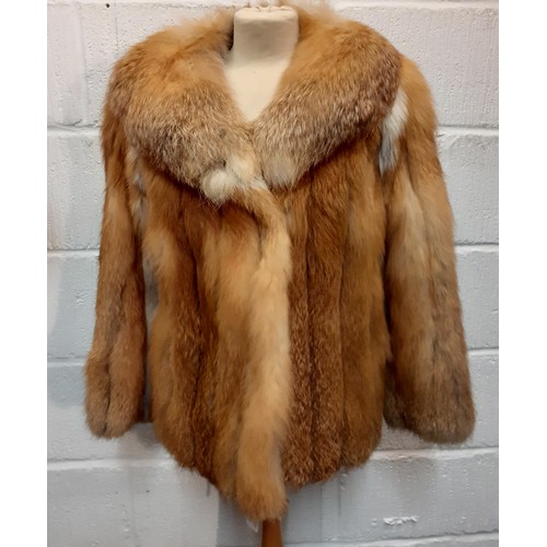 77 - A 1970's red fox fur jacket having vertical brown leather insertions, 2 front pockets and a shawl co... 