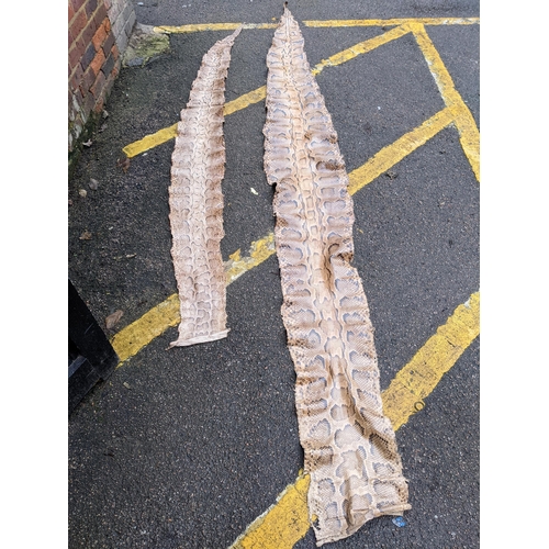 538 - Two taxidermist python snake skins, the largest approximately 360cms long, the other 272cms long
Loc... 