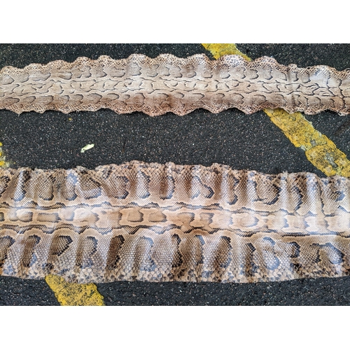 538 - Two taxidermist python snake skins, the largest approximately 360cms long, the other 272cms long
Loc... 