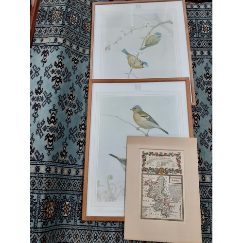 609 - A quantity of pictures to include paintings on feathers, an antiquarian map of Buckinghamshire, bird... 