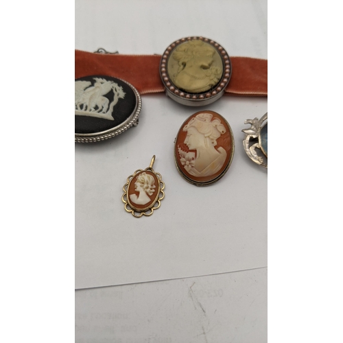 156 - Cameo brooches, a Thai silver brooch and a 9ct gold Cameo pendant and a Wedgwood brooch
Location: CA... 