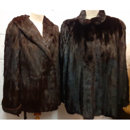 113 - Two vintage fur coats comprising a black glossy Dickins and Jones mink jacket 38