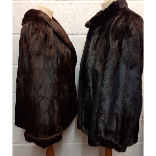 113 - Two vintage fur coats comprising a black glossy Dickins and Jones mink jacket 38