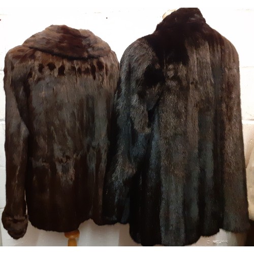 113 - Two vintage fur coats comprising a black glossy Dickins and Jones mink jacket 38