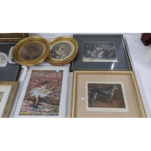 219 - Mixed pictures to include two early 20th century oval gilt framed etchings, etchings of dogs and oth... 