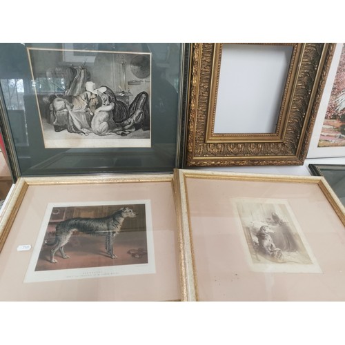 219 - Mixed pictures to include two early 20th century oval gilt framed etchings, etchings of dogs and oth... 