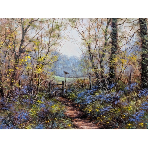 402 - Deborah Poynton oil on canvas, depicting a footpath through a woodland with bluebells, bears a signa... 