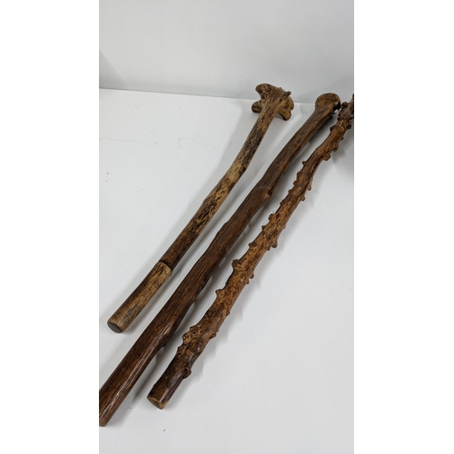 468 - Three root carved walking sticks to include a 19th century Irish example together with a Victorian f... 