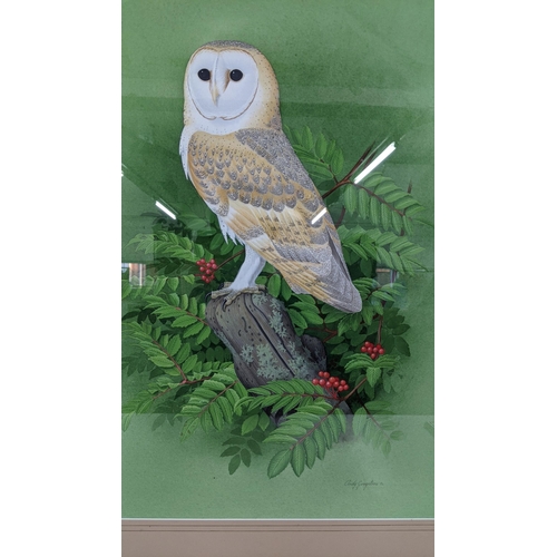 282 - Andy Graystene - a gouache depicting an owl singed to the bottom right, 60cm & 47cm, Location:LWB