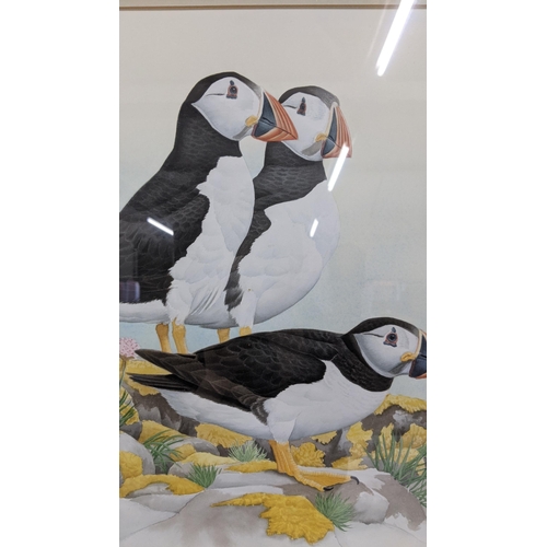 283 - Andy Graystene - a gouache depicting puffins, signed the lower left, Location:LWB