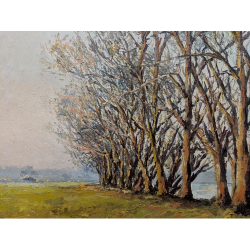 315 - Teesdale - landscape with trees and S Vermer - lake scene with three oil on boards, framed, Location... 