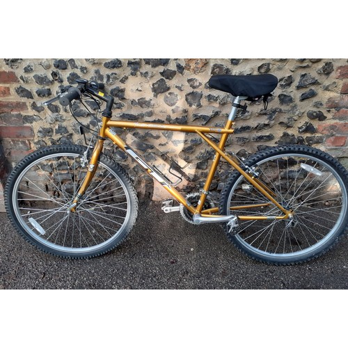 A Palomar gold coloured GT mountain bike. Location G