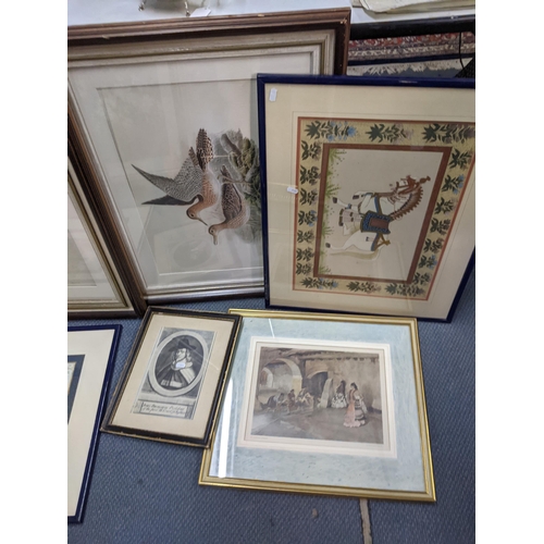 486 - Mixed pictures to include two Russell Flint prints, coloured engravings of birds, and others Locatio... 