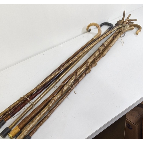 493 - Eight walking sticks to include horn handled examples, Location:LWM