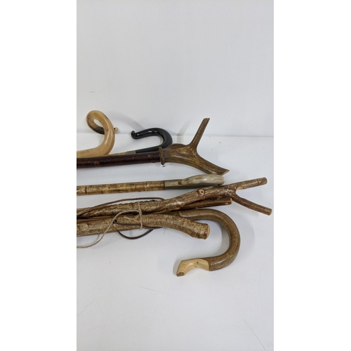 493 - Eight walking sticks to include horn handled examples, Location:LWM