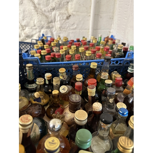 145 - Twelve plastic tray crates holding over eight hundred + miniatures containing spirits, Whisky etc Lo... 