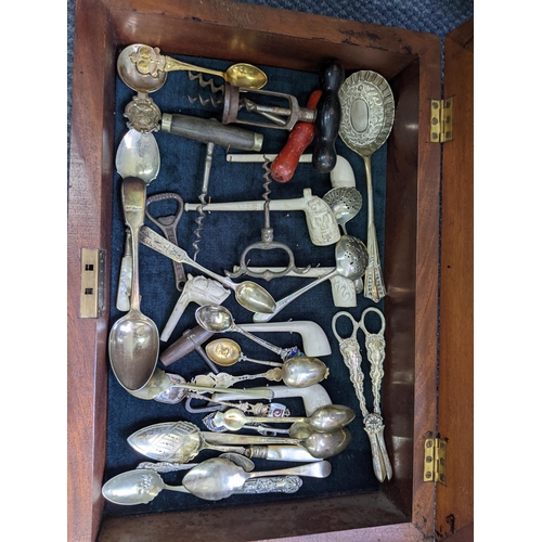 175 - An Edwardian mahogany display box containing carved pipes, silver and silver plated cutlery and cork... 